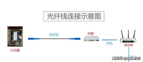 网络设备质量对网速的直接影响与解决方案